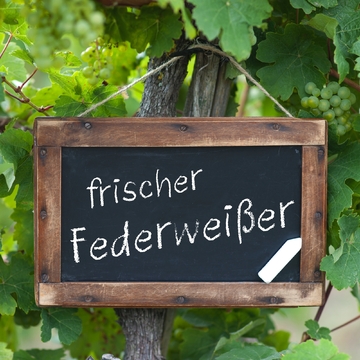 Frischer Federweißer