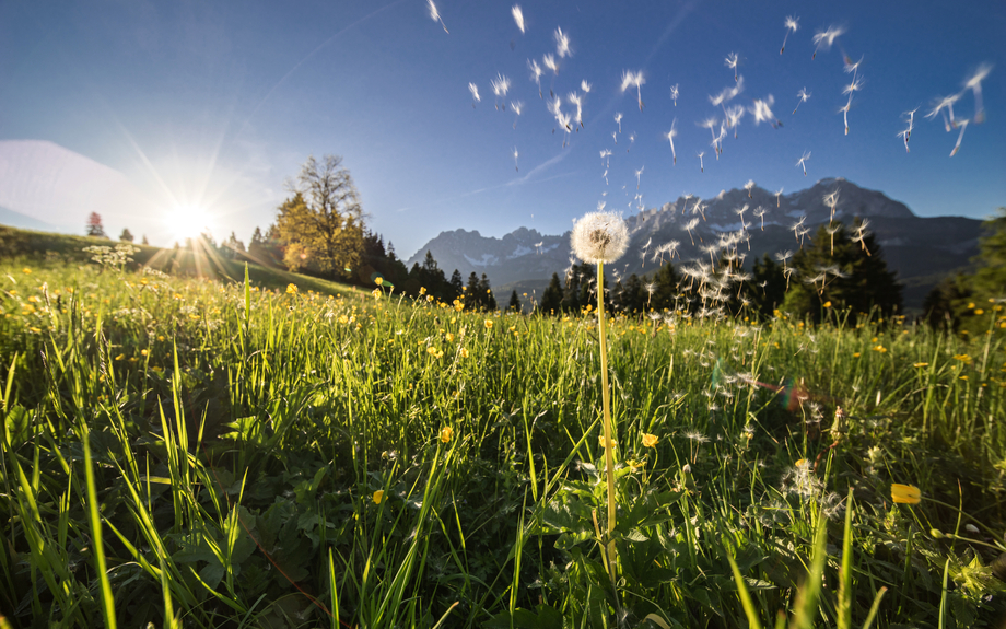 Wilden Kaiser in Tirol