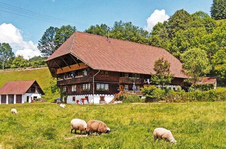 Schwarzwälder Bauernhaus