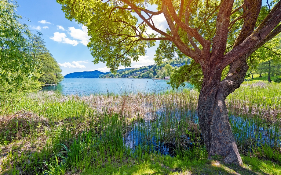 Idylle am Wörthersee