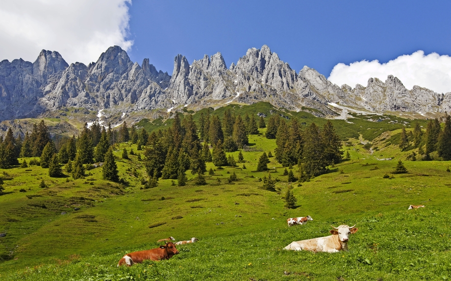 Almidylle am Hochkönig