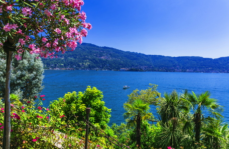 Malerischer Lago Maggiore in Italien