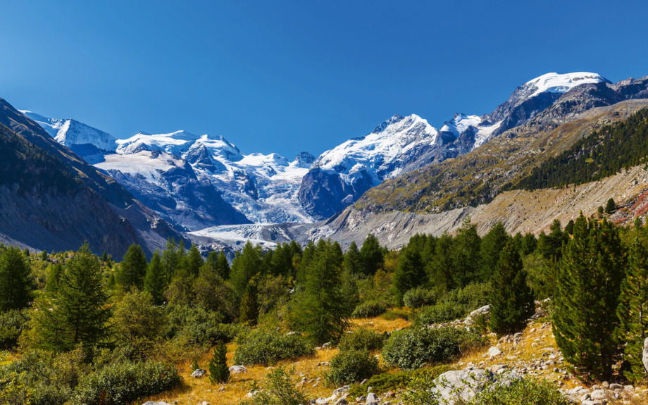 Berninamassiv & Morteratschgletscher