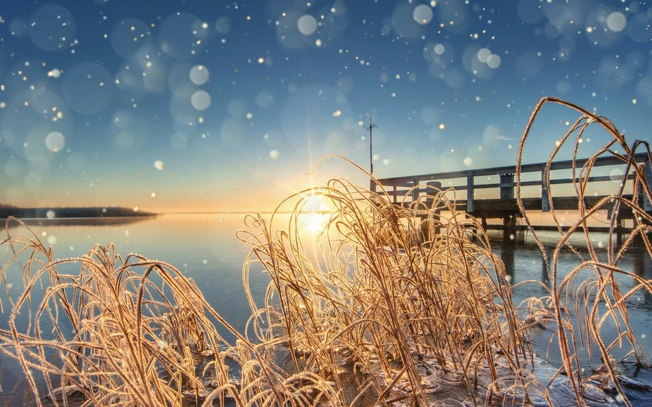 Winter am See