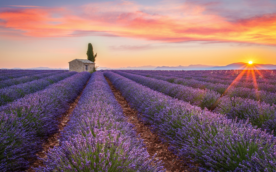 Sonnenaufgang in Valensole