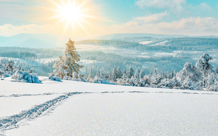 winterlicher Schwarzwald