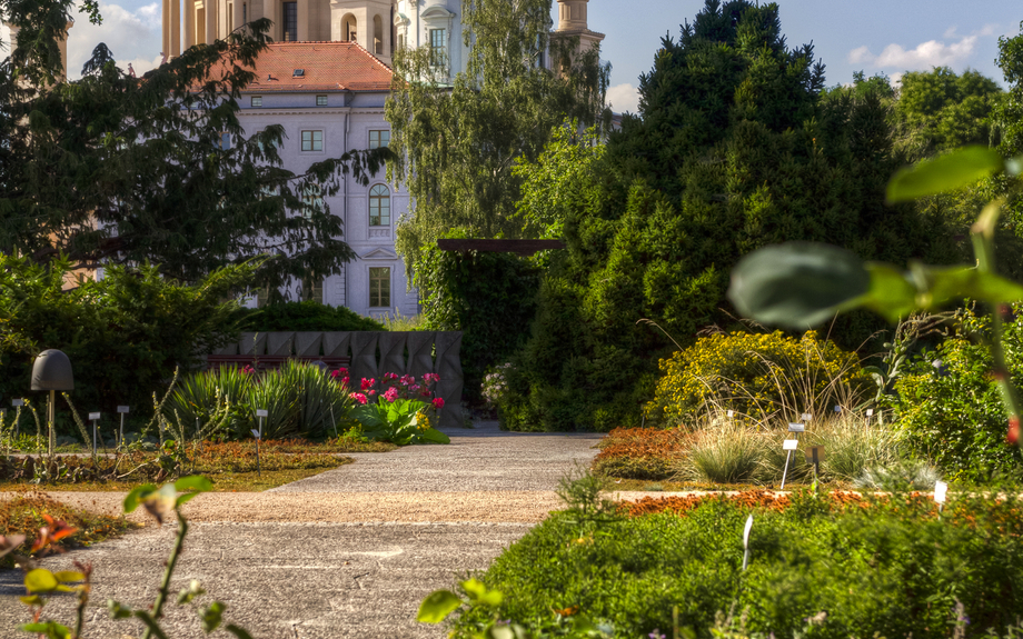 Altes Rathaus in Potsdam 