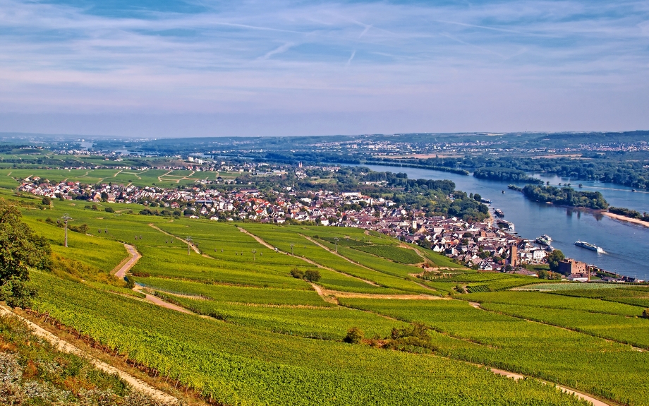 Rüdesheim am Rhein mit Weinbergen