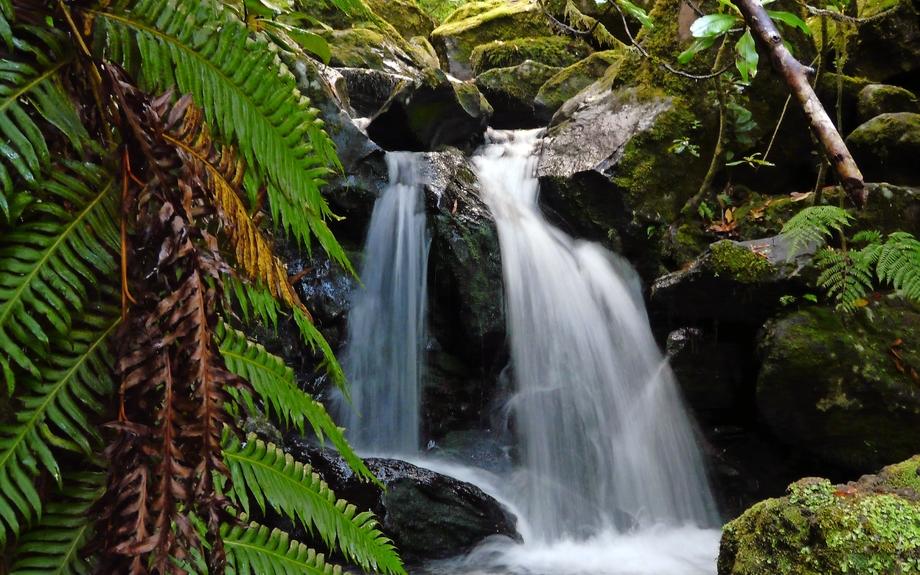 Wasserfall Madeira