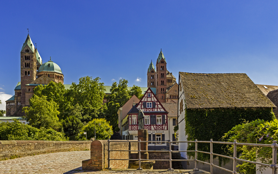 Weinberge Pfalz