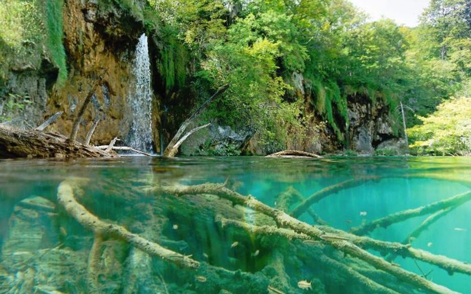 Wasserfall mit Unterwasserfauna