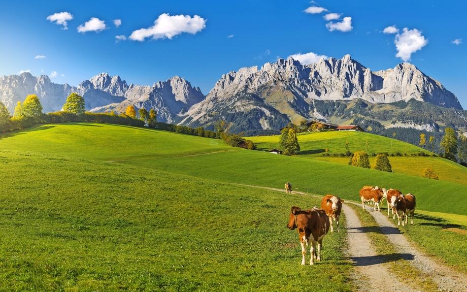 Herbststimmung Wilder Kaiser Tirol