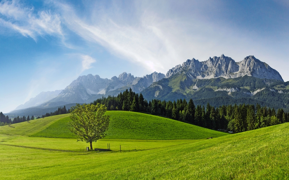 Sommer am Wilder Kaiser