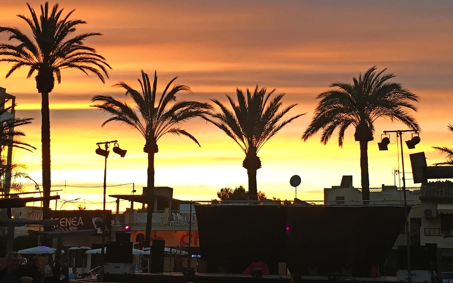 Abendstimmung am Pinienplatz