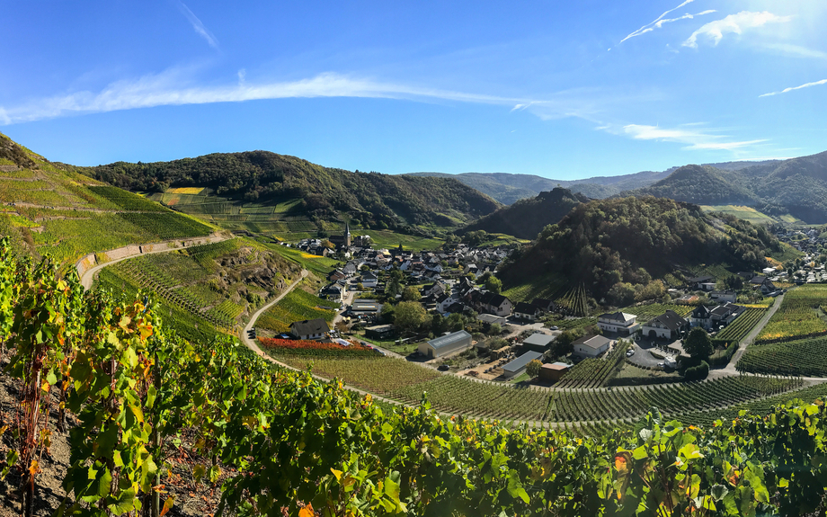 Panorama von Mayschoß im Ahrtal vom Rotweinwanderweg, Deutschland