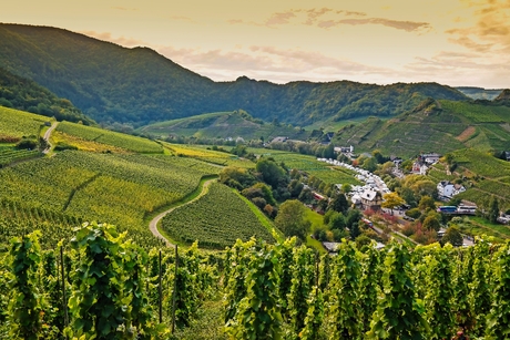Blick über das Dorf Mayschoss im Ahrtal, Deutschland
