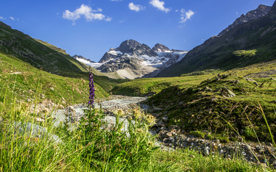 Montafon Piz Buin 