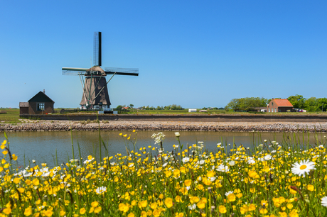 Windmühle auf der niederländischen Insel Texel