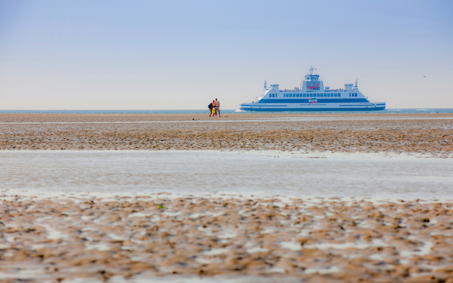 Wattenmeer