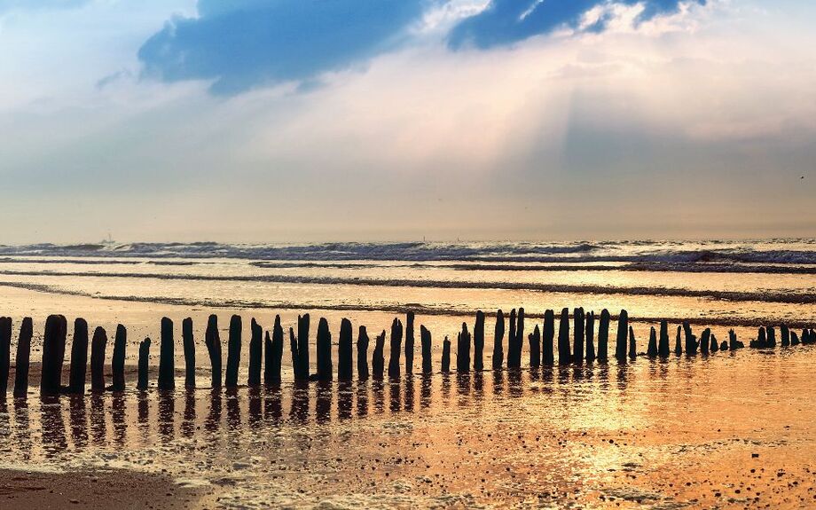 Bunen Panorama am Strand