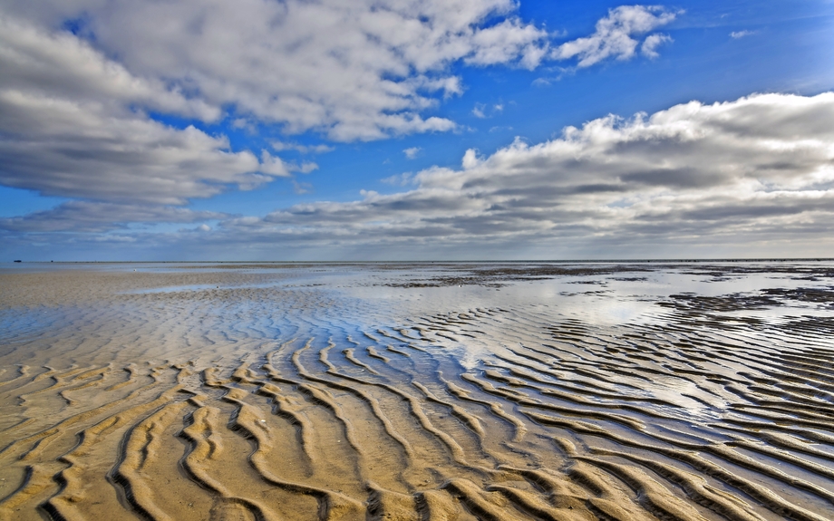 Wattenmeer