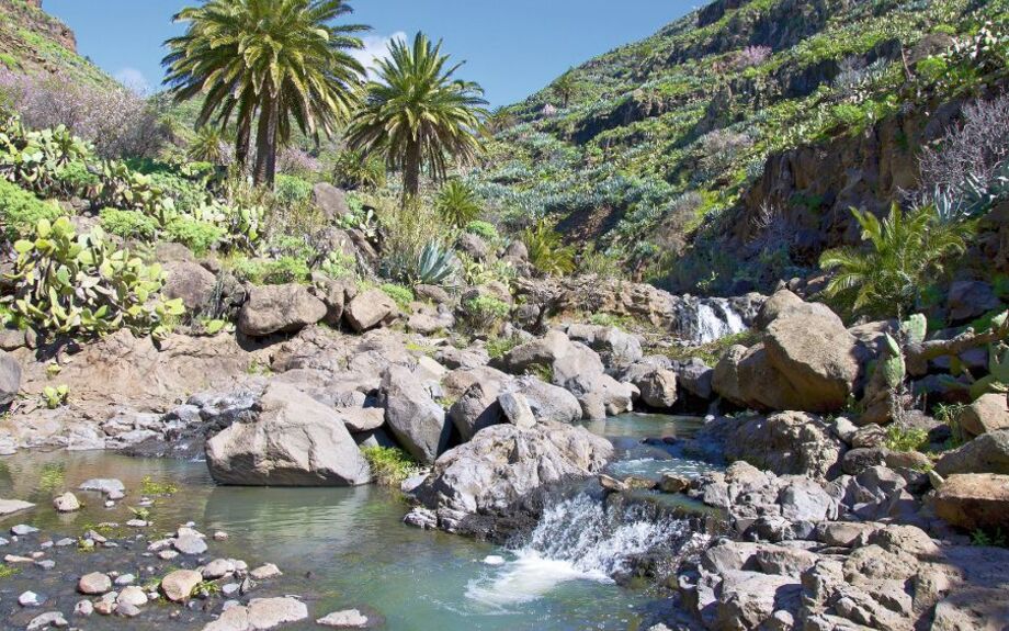 Gebirgsbach auf La Gomera, Kanaren