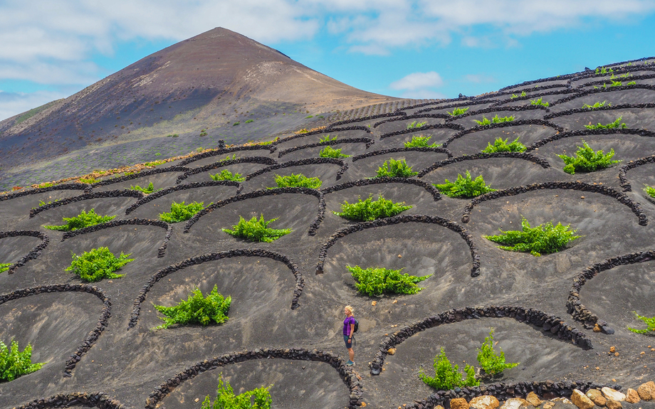 Lanzarote - Wandern zwischen den Weinbergen