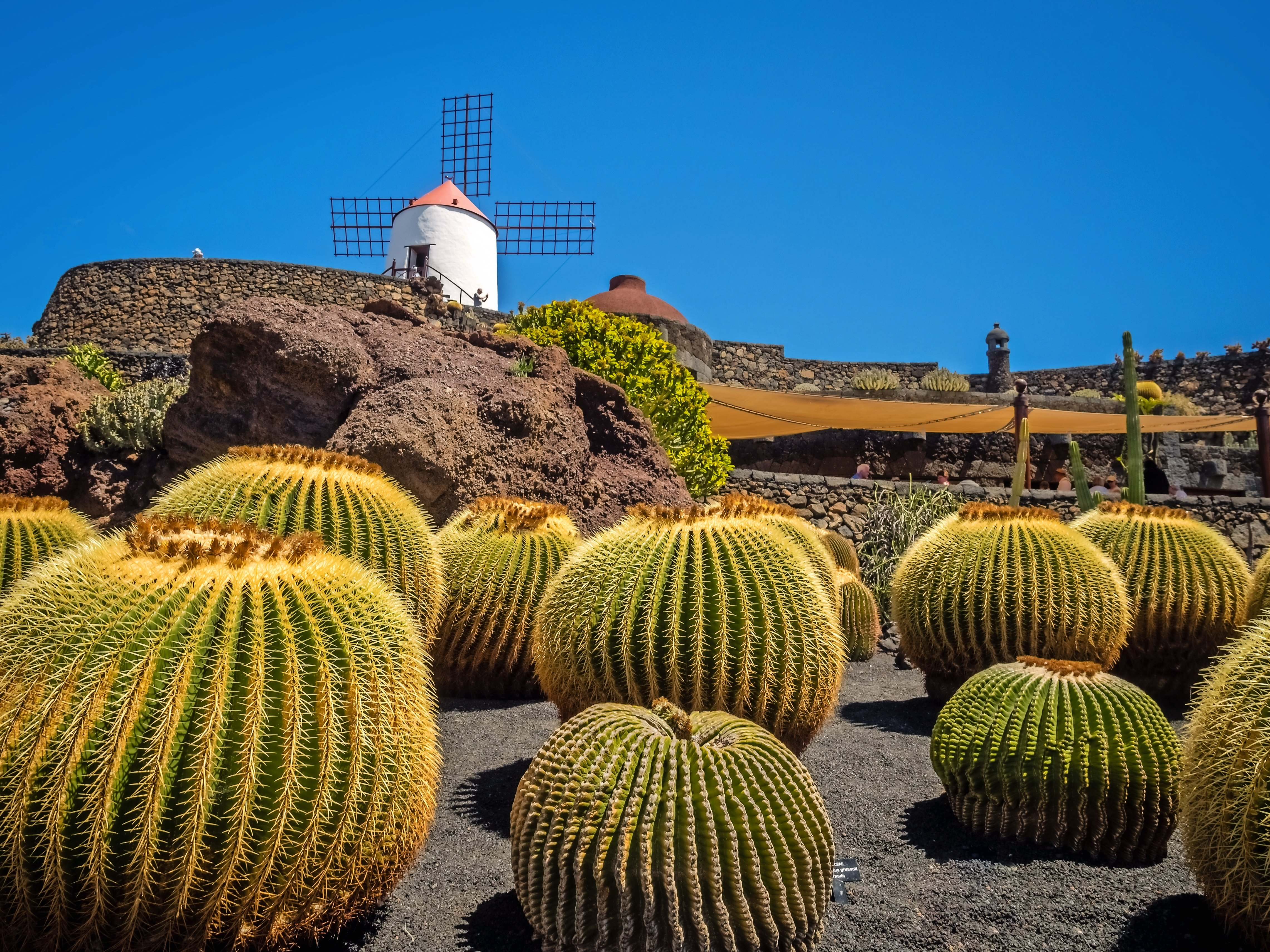 Jardín de Cactus auf Lanzarote