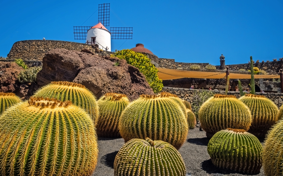 Jardín de Cactus auf Lanzarote