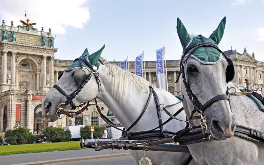 Fiaker vor Hofburg in Wien