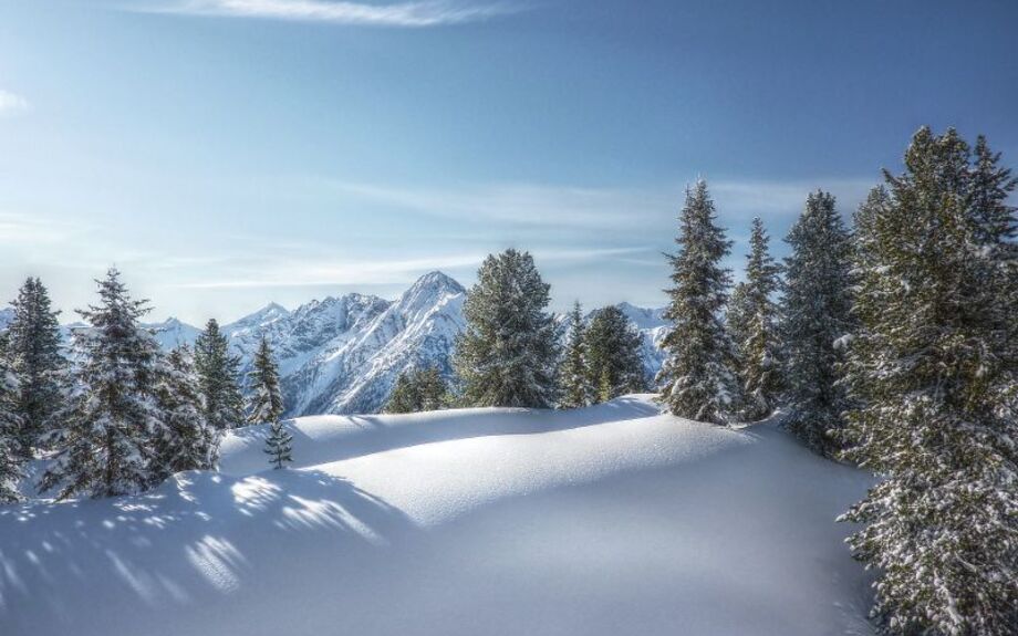 Winterwald in HDR