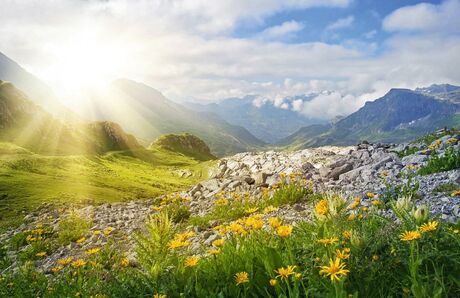 Alpenlandschaft