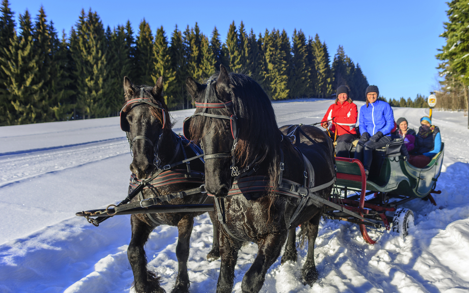 winterliche Kutschfahrt im Pferdeschlitten