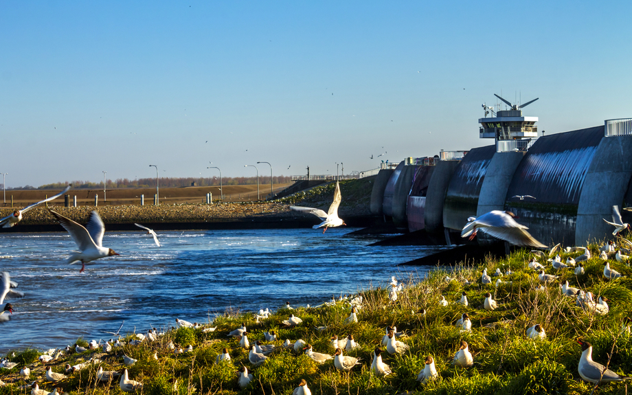 Eider-Sperrwerk in Wesselburenerkoog