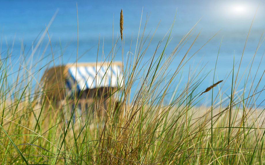 Dünengras und Strandkorb am Meer