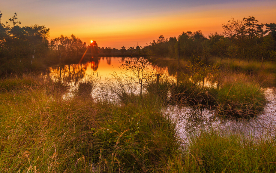 Pietzmoor in der Lüneburger Heide