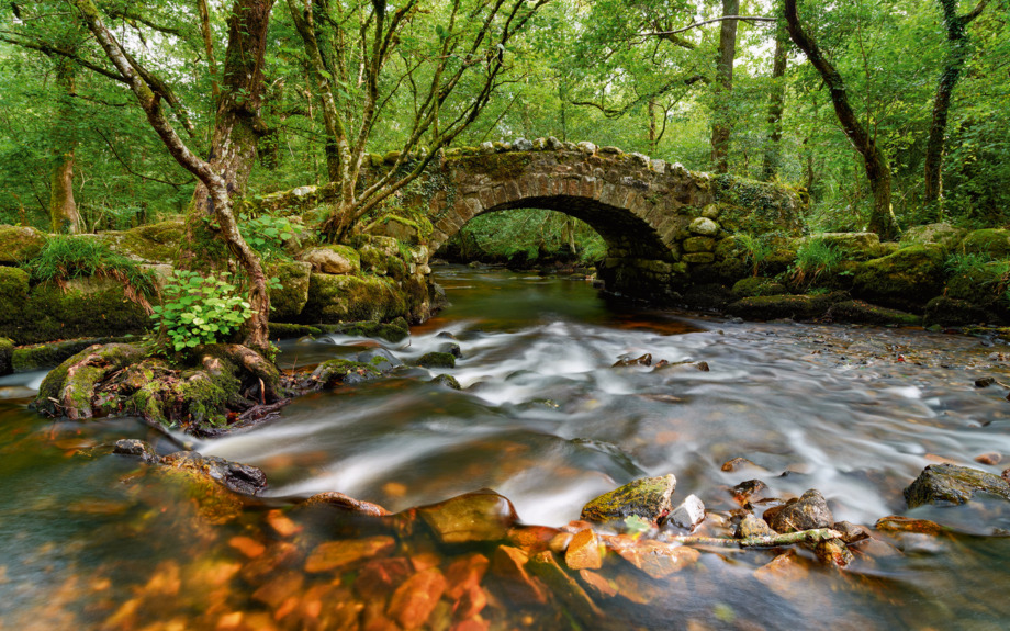 Dartmoor