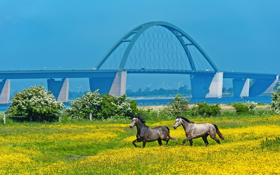 Fehmarnsundbrücke, Fehmarn