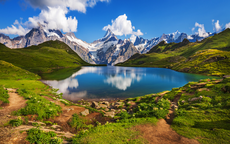 Blick auf den Bachalpsee