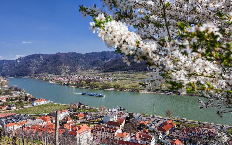 Spitz an der Donau, Österreich