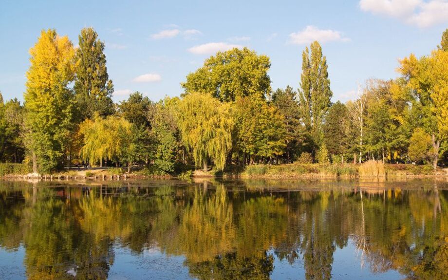 An der Alten Donau/Wien