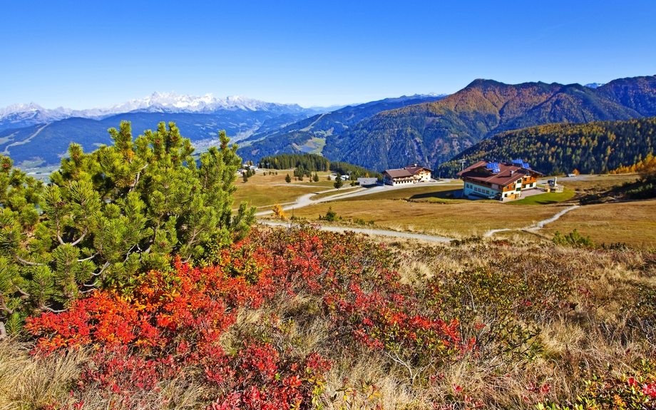 Herbststimmung am Grießenkar in Flachau