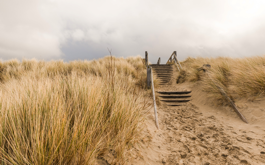 Dünenweg in Belgien