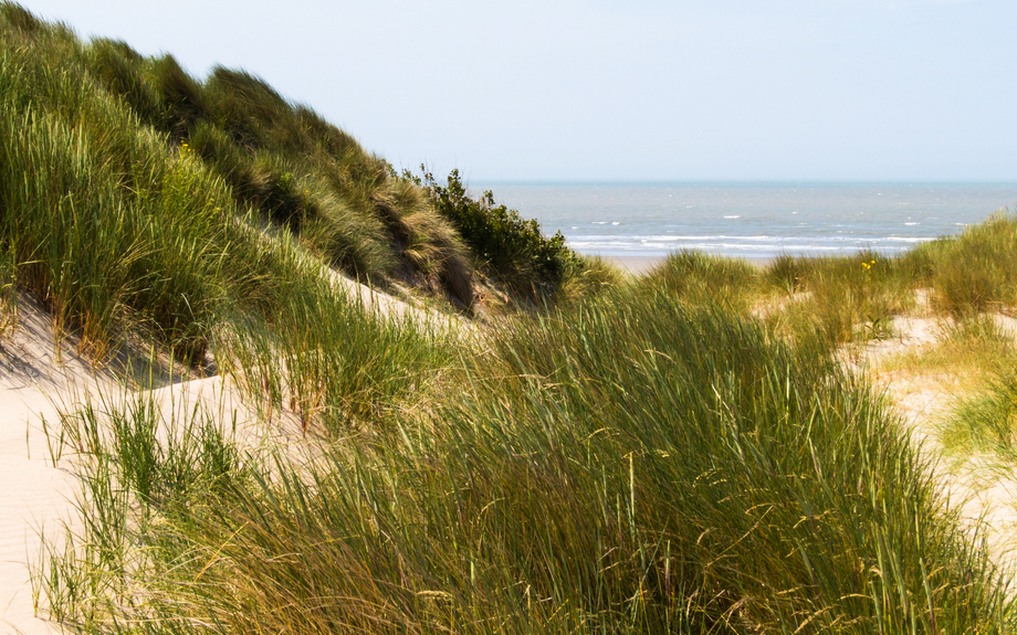 Küstenlinie und Sanddünen der Nordsee in Belgien