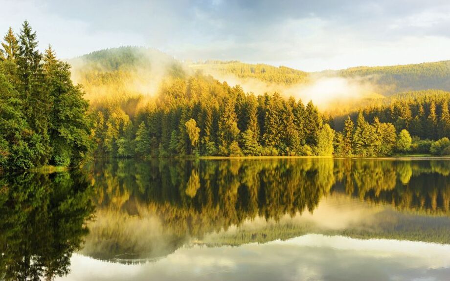 Sösestausee in fog