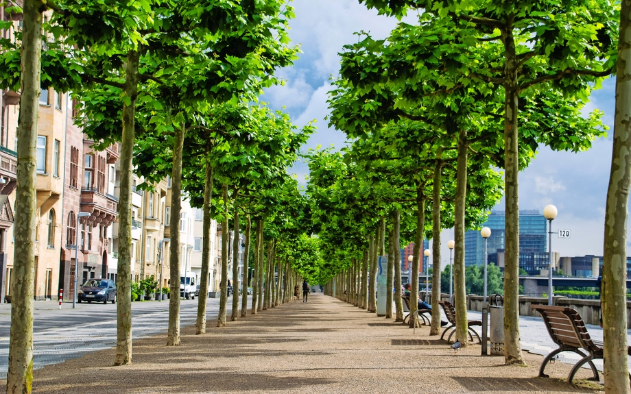 Rheinpromenade in Düsseldorf