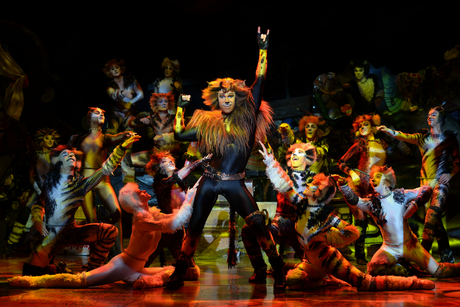 CATS - das Musical