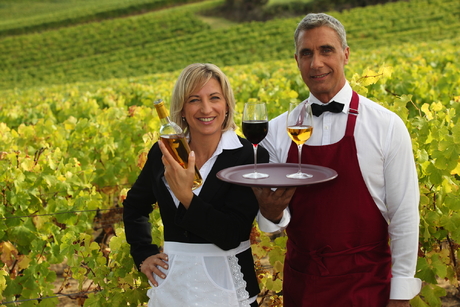 Weinprobe im Weinberg