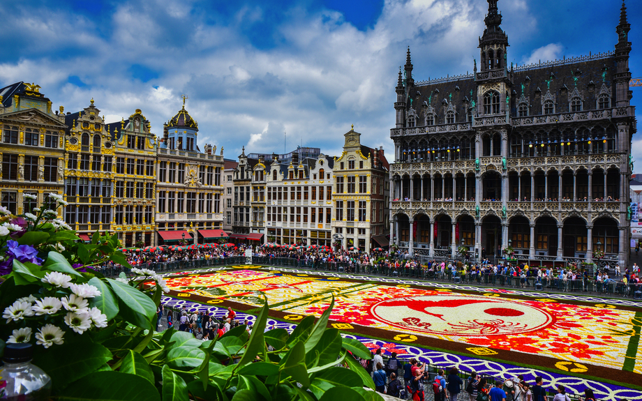 Blumenteppich auf dem Grote Markt in Brüssel