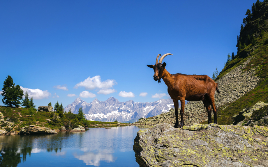 Spiegelsee in Schladming in der Steiermark, Österreich